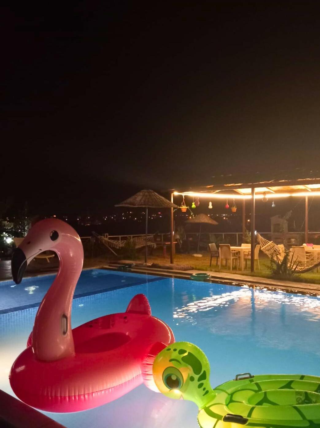 Bu Bungalow Hotel 代姆雷 外观 照片