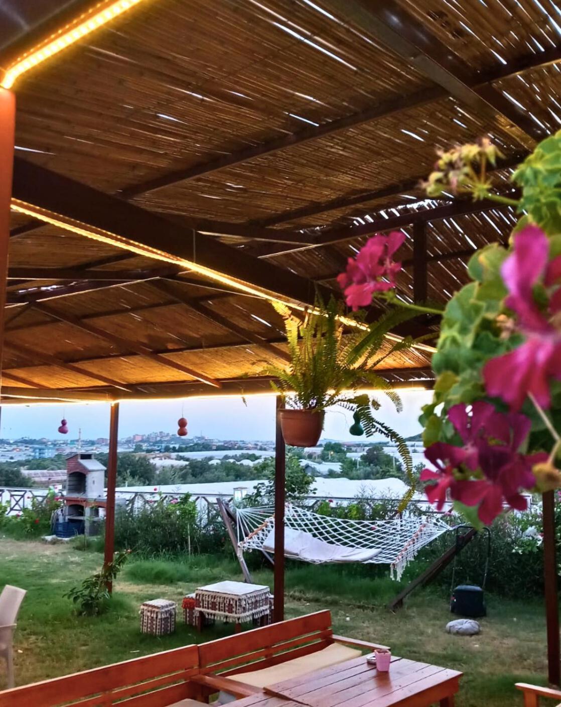 Bu Bungalow Hotel 代姆雷 外观 照片